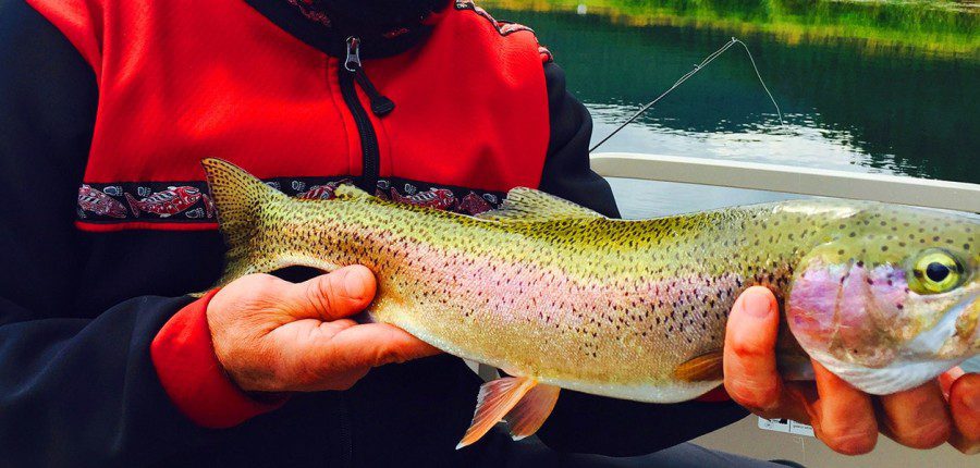 River Guide Training