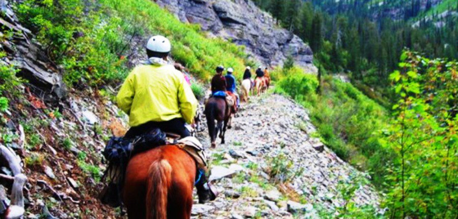 Wrangler Training Program